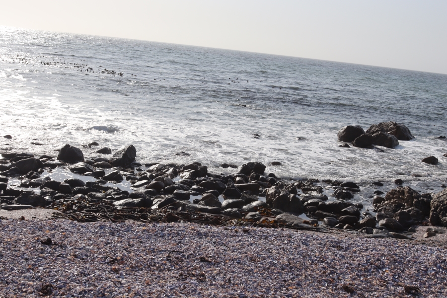 0 Bedroom Property for Sale in Shelley Point Western Cape